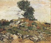 Rocks with Oak Trees (nn04), Vincent Van Gogh